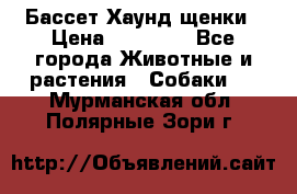 Бассет Хаунд щенки › Цена ­ 20 000 - Все города Животные и растения » Собаки   . Мурманская обл.,Полярные Зори г.